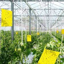 Explore More Sustainable Solutions​