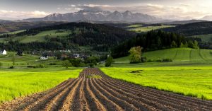 Sustainable Farming​